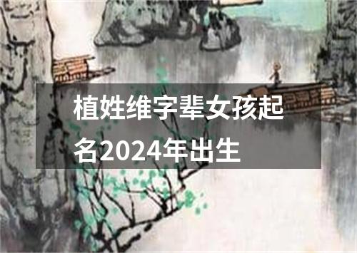 植姓维字辈女孩起名2024年出生