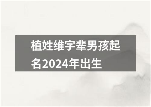 植姓维字辈男孩起名2024年出生