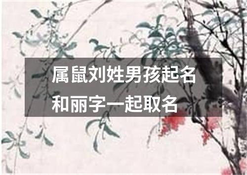 属鼠刘姓男孩起名和丽字一起取名