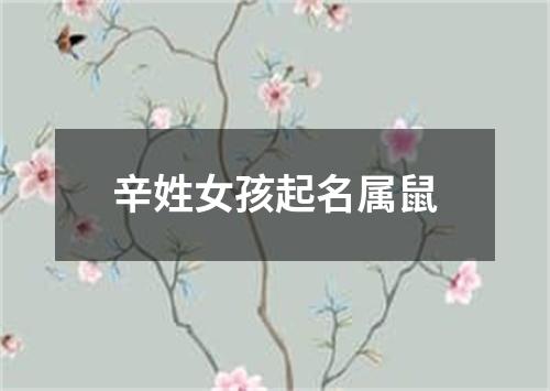 辛姓女孩起名属鼠