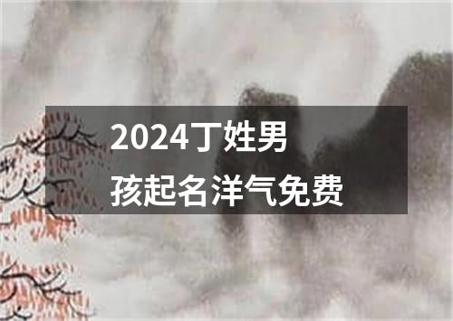 2024丁姓男孩起名洋气免费