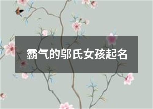 霸气的邬氏女孩起名