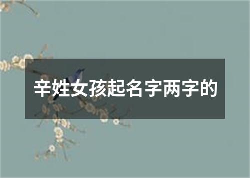 辛姓女孩起名字两字的