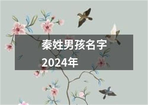 秦姓男孩名字2024年