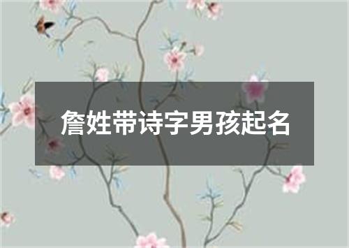 詹姓带诗字男孩起名