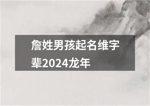 詹姓男孩起名维字辈2024龙年