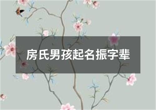 房氏男孩起名振字辈