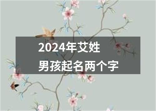 2024年艾姓男孩起名两个字