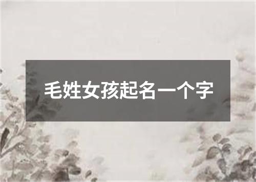 毛姓女孩起名一个字