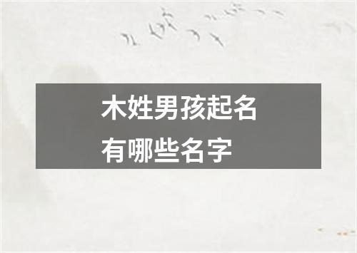 木姓男孩起名有哪些名字