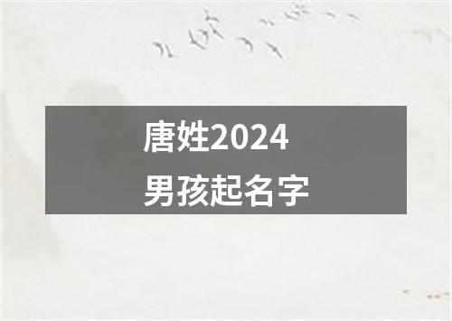 唐姓2024男孩起名字