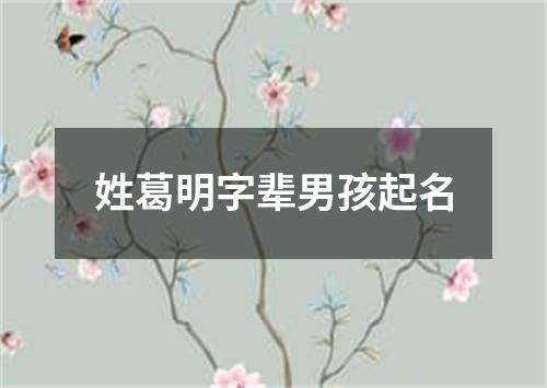 姓葛明字辈男孩起名