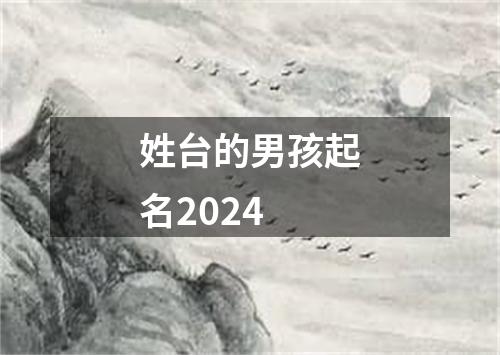 姓台的男孩起名2024