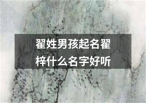 翟姓男孩起名翟梓什么名字好听