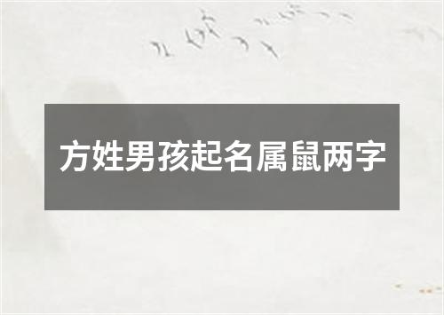 方姓男孩起名属鼠两字