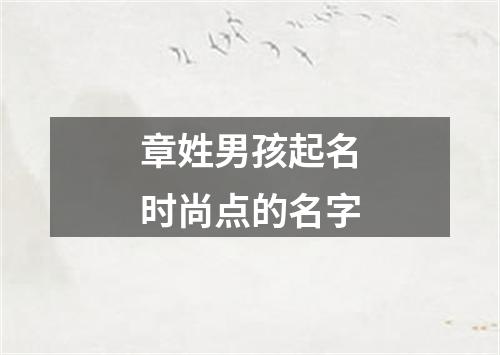 章姓男孩起名时尚点的名字