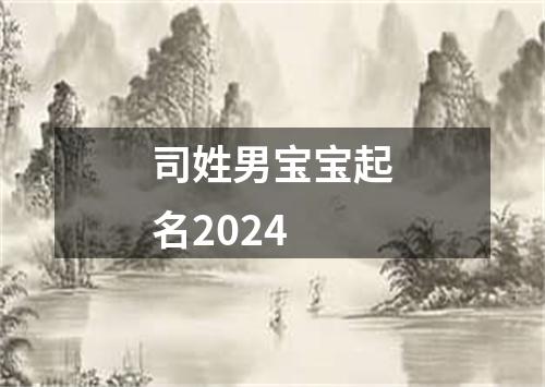 司姓男宝宝起名2024