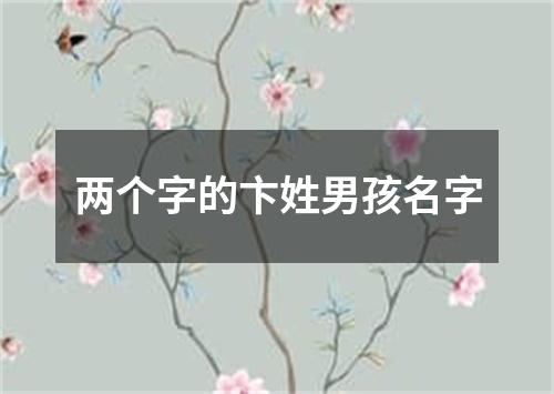 两个字的卞姓男孩名字