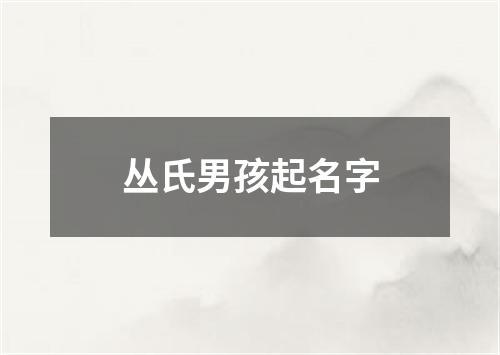 丛氏男孩起名字