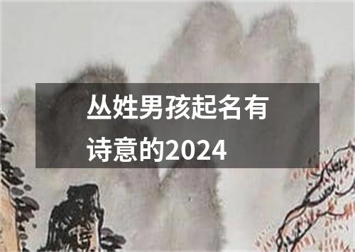 丛姓男孩起名有诗意的2024