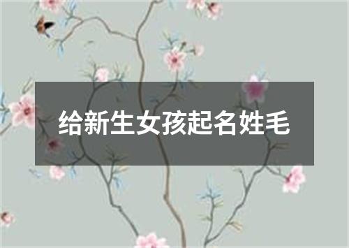 给新生女孩起名姓毛