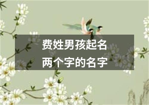 费姓男孩起名两个字的名字