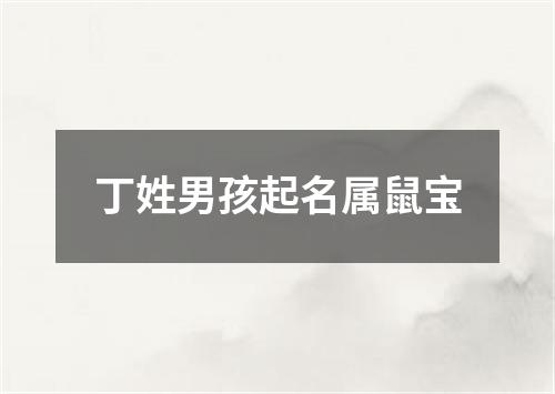 丁姓男孩起名属鼠宝