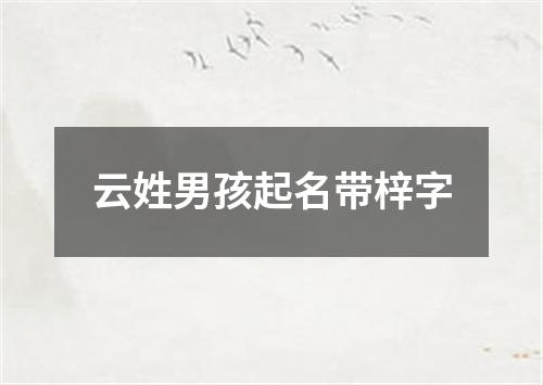 云姓男孩起名带梓字