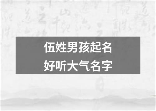 伍姓男孩起名好听大气名字