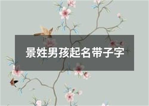 景姓男孩起名带子字