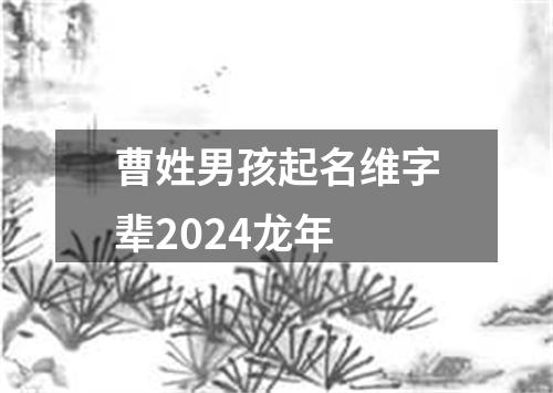 曹姓男孩起名维字辈2024龙年