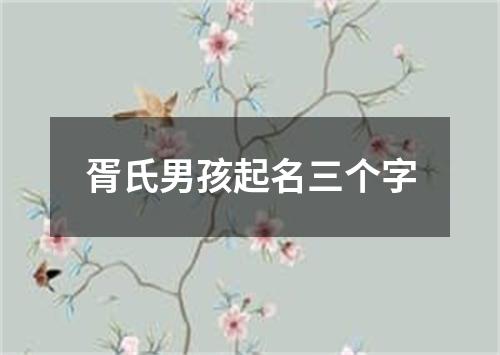 胥氏男孩起名三个字