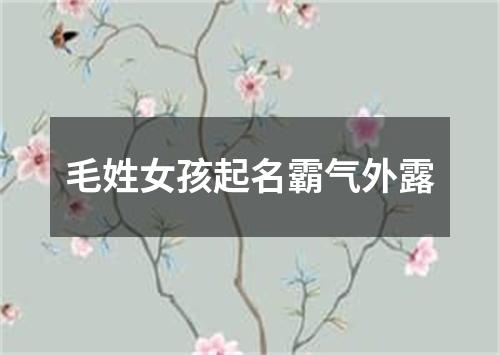 毛姓女孩起名霸气外露