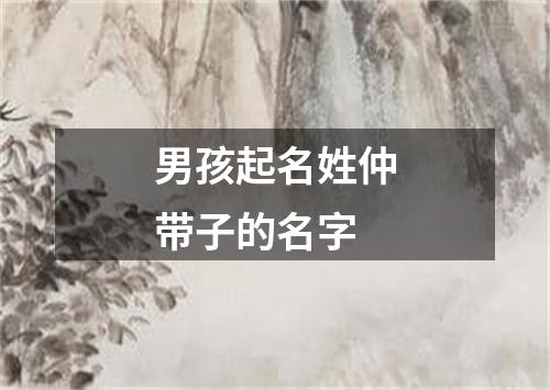 男孩起名姓仲带子的名字