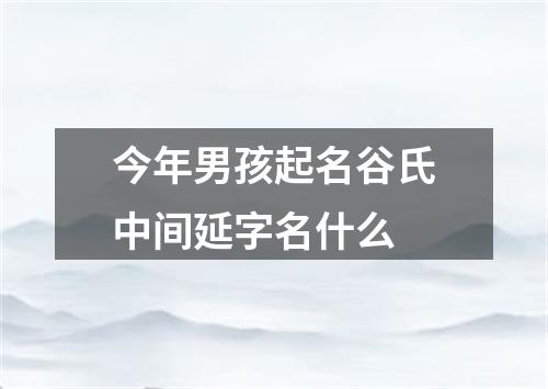 今年男孩起名谷氏中间延字名什么