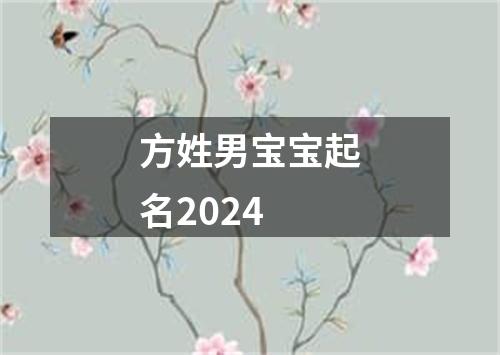 方姓男宝宝起名2024