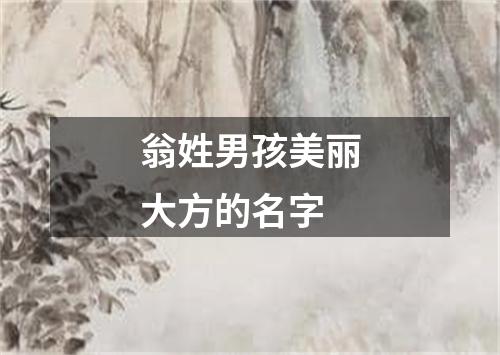 翁姓男孩美丽大方的名字