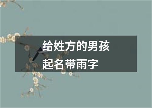 给姓方的男孩起名带雨字