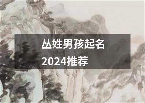 丛姓男孩起名2024推荐