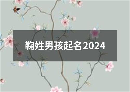 鞠姓男孩起名2024