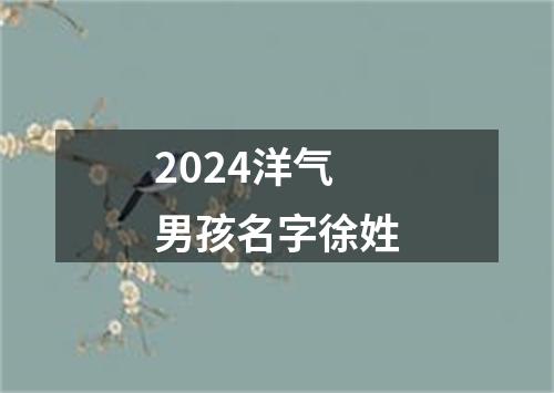 2024洋气男孩名字徐姓