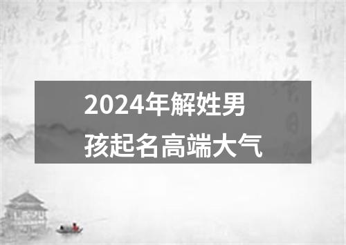 2024年解姓男孩起名高端大气