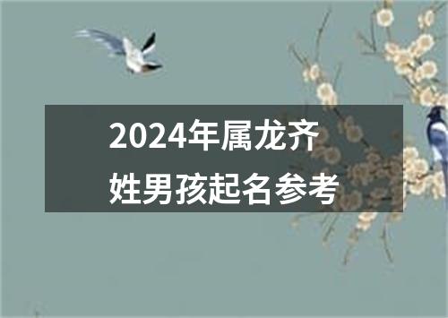 2024年属龙齐姓男孩起名参考