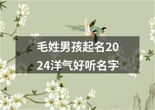 毛姓男孩起名2024洋气好听名字