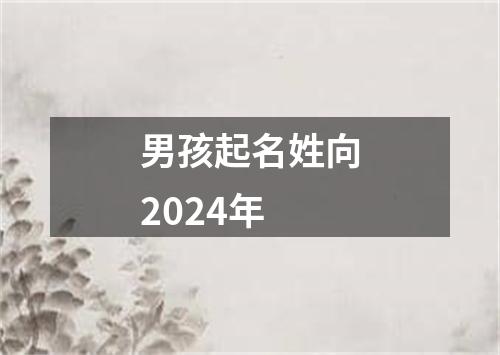 男孩起名姓向2024年