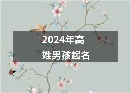 2024年高姓男孩起名