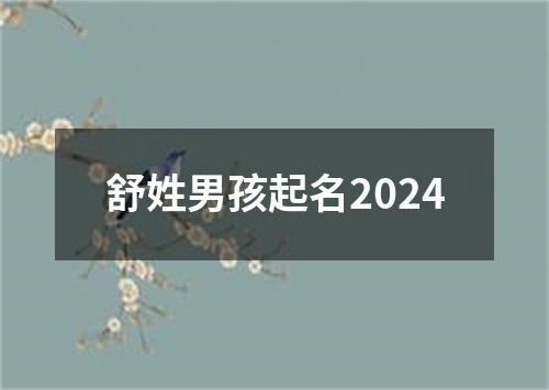 舒姓男孩起名2024