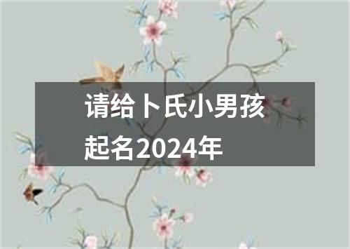 请给卜氏小男孩起名2024年