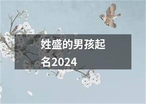 姓盛的男孩起名2024