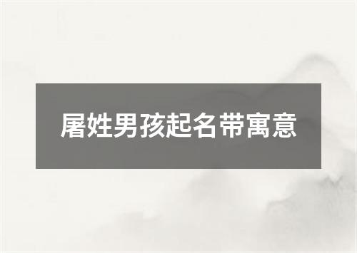 屠姓男孩起名带寓意